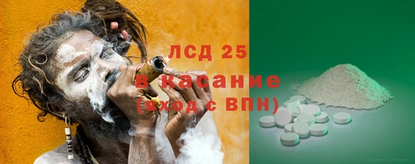 ГАЛЛЮЦИНОГЕННЫЕ ГРИБЫ Алексин