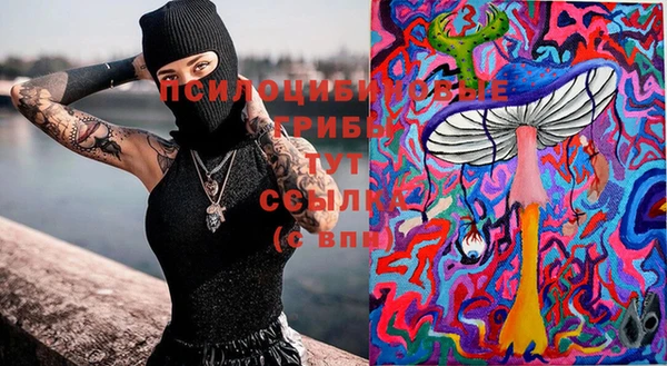 таблы Алзамай